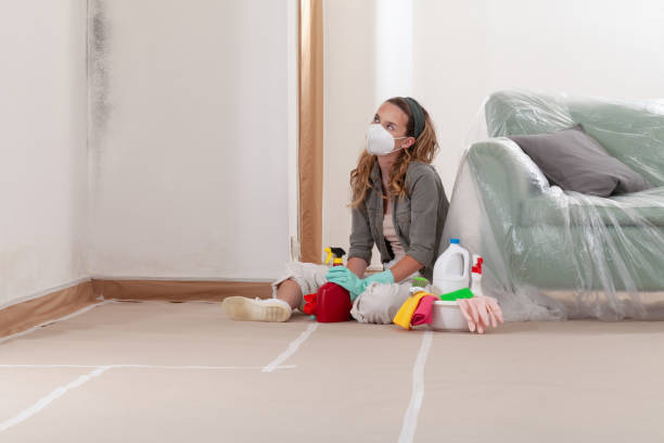 Reliable Mold Inspection And Testing contractor in Richardson, TX by Car Mold Remediation